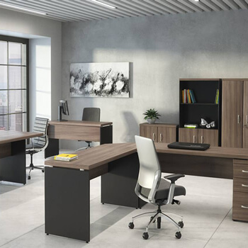 Pandin Linha PE40 Pandin Linha PE40